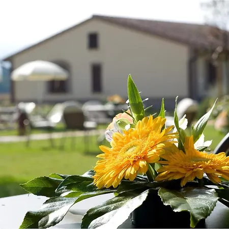 Le Rondini Apt With Shared Pool Family Friendly Appartement Cannara