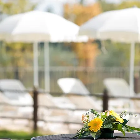 Le Rondini Apt With Shared Pool Family Friendly