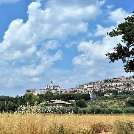 Le Rondini Apt With Shared Pool Family Friendly Apartamento Cannara
